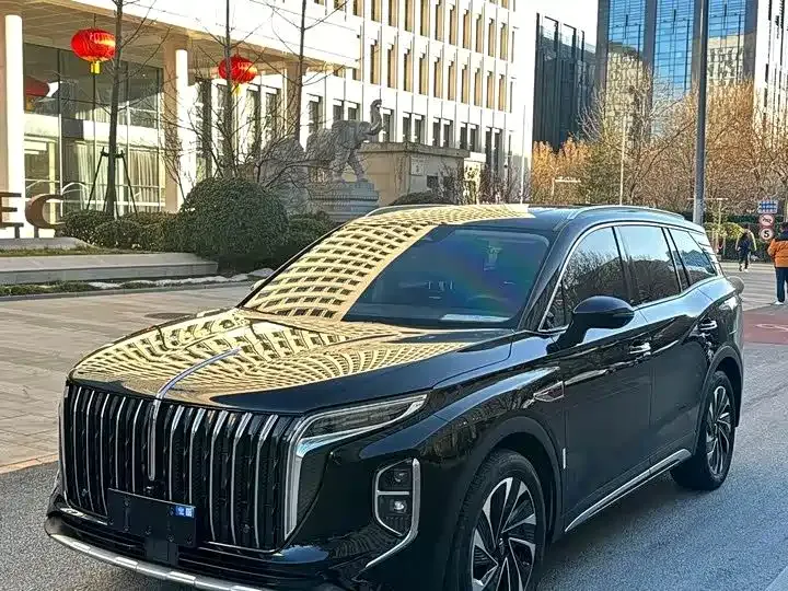 Hongqi HS7 PHEV 2024 из CN, фото 1