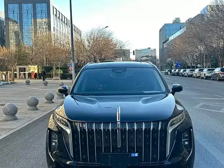Hongqi HS7 PHEV 2024 из CN, фото 4