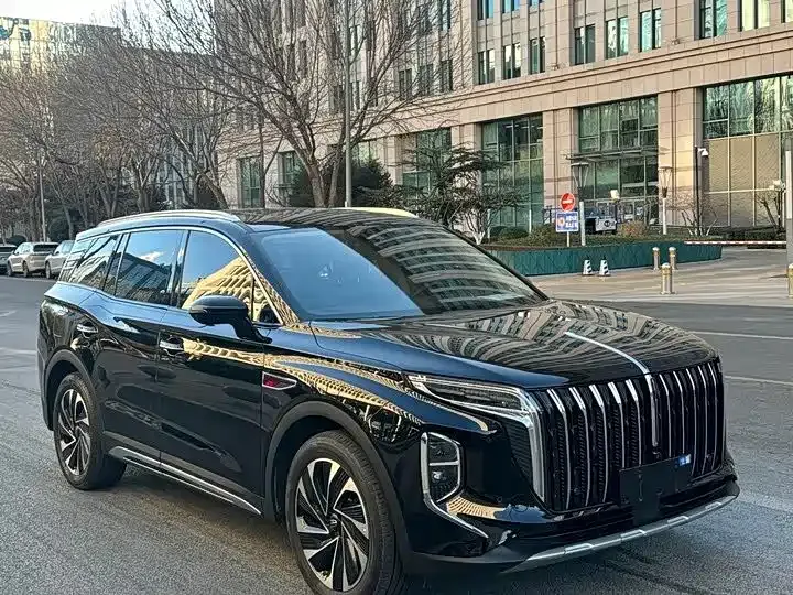 Hongqi HS7 PHEV 2024 из CN, фото 8