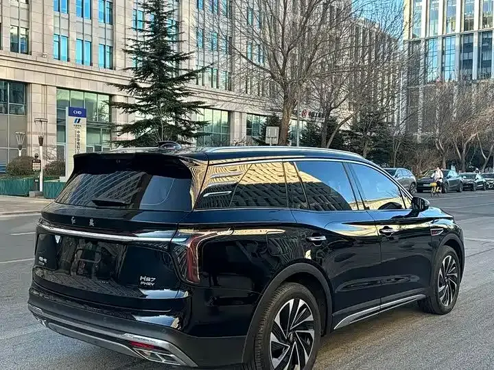 Hongqi HS7 PHEV 2024 из CN, фото 10