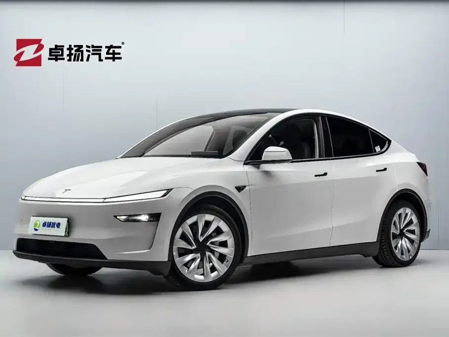 Tesla Model Y 2025 из CN, фото 1