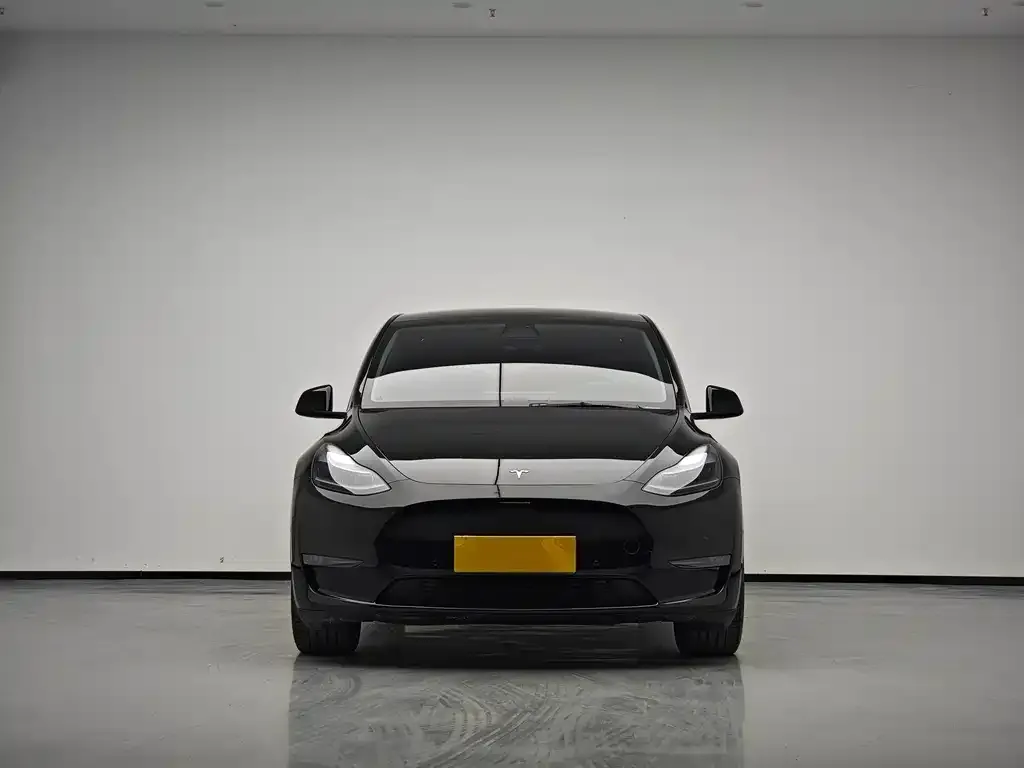 Tesla Model Y 2022 из CN, фото 3