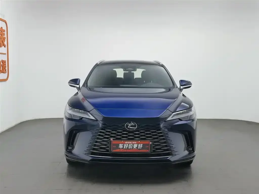 Lexus RX New Energy 2023 из CN, фото 3