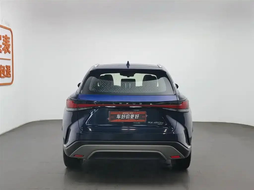 Lexus RX New Energy 2023 из CN, фото 4