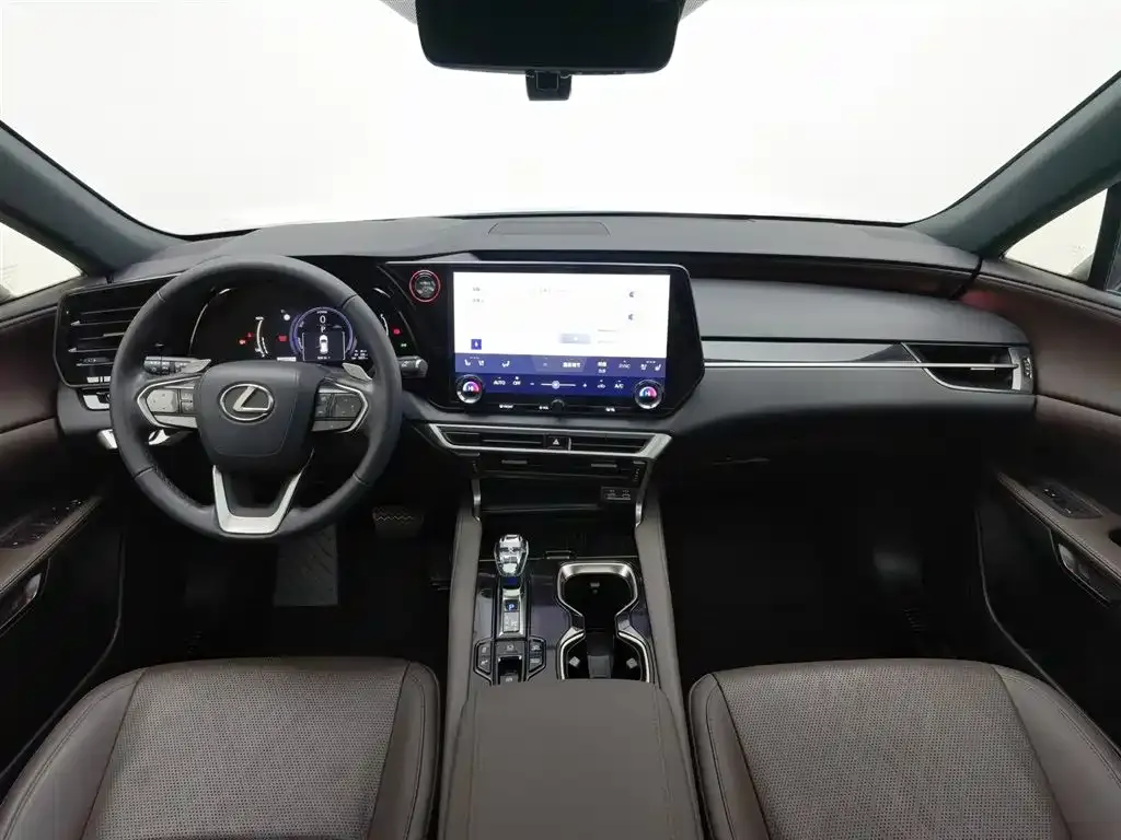 Lexus RX New Energy 2023 из CN, фото 10
