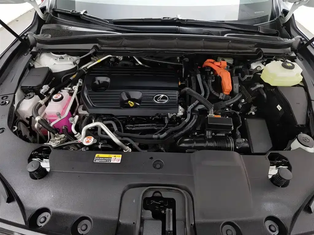 Lexus RX New Energy 2023 из CN, фото 2
