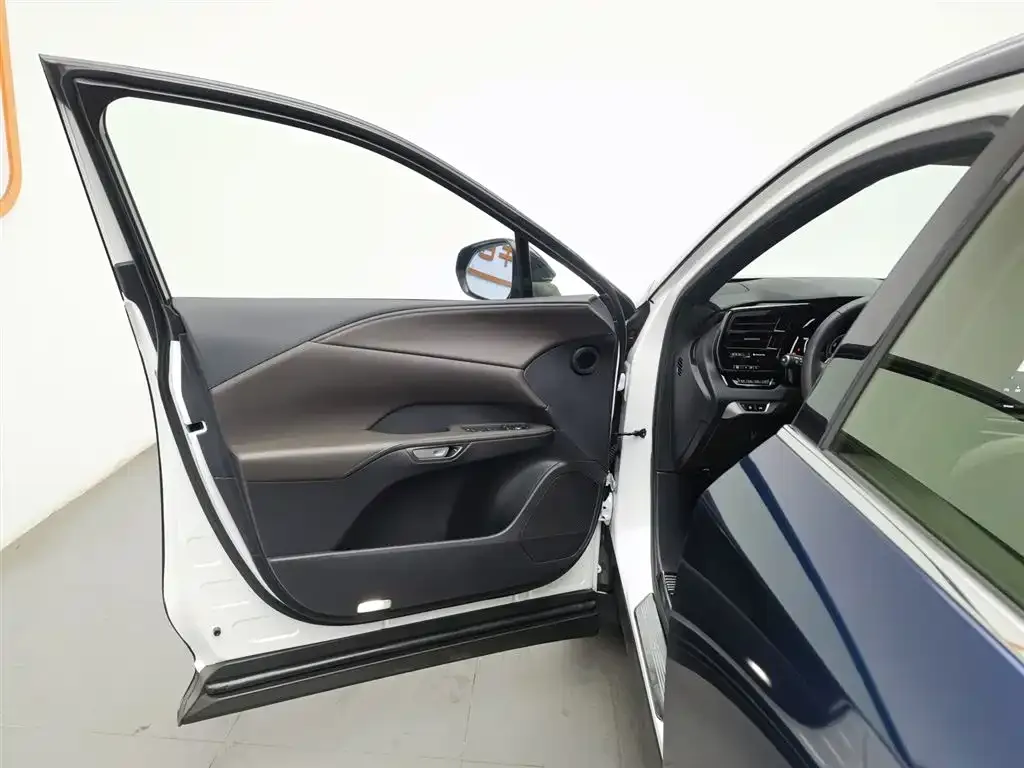 Lexus RX New Energy 2023 из CN, фото 6