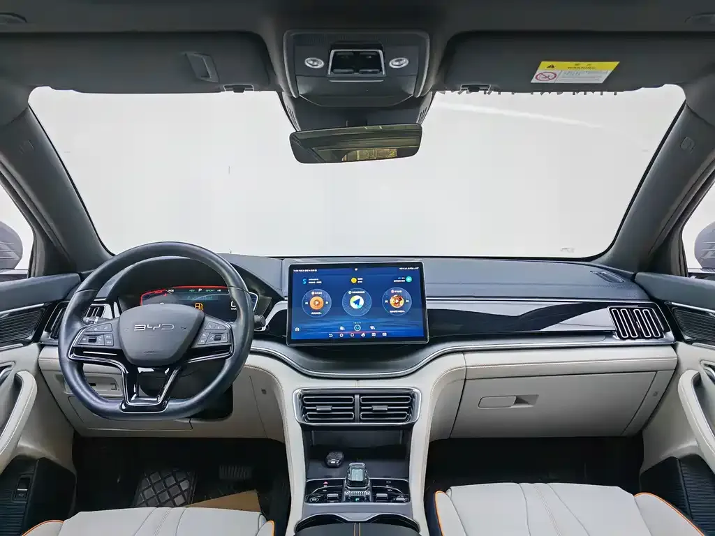 BYD PLUS New Energy 2023 из CN, фото 10
