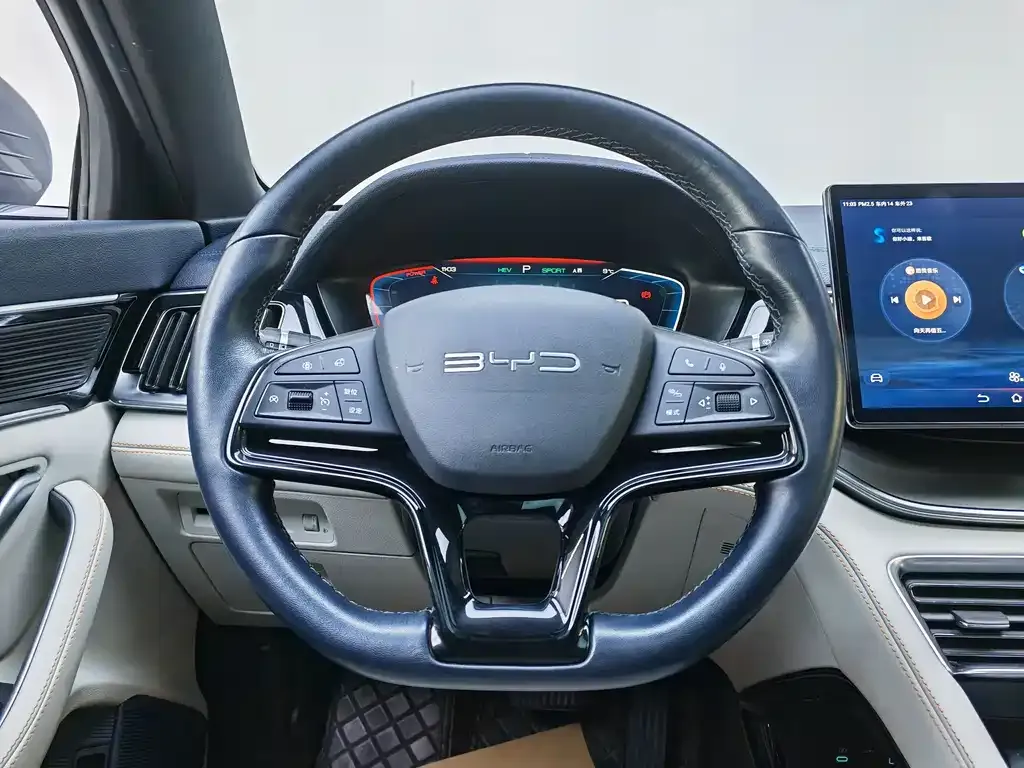 BYD PLUS New Energy 2023 из CN, фото 3