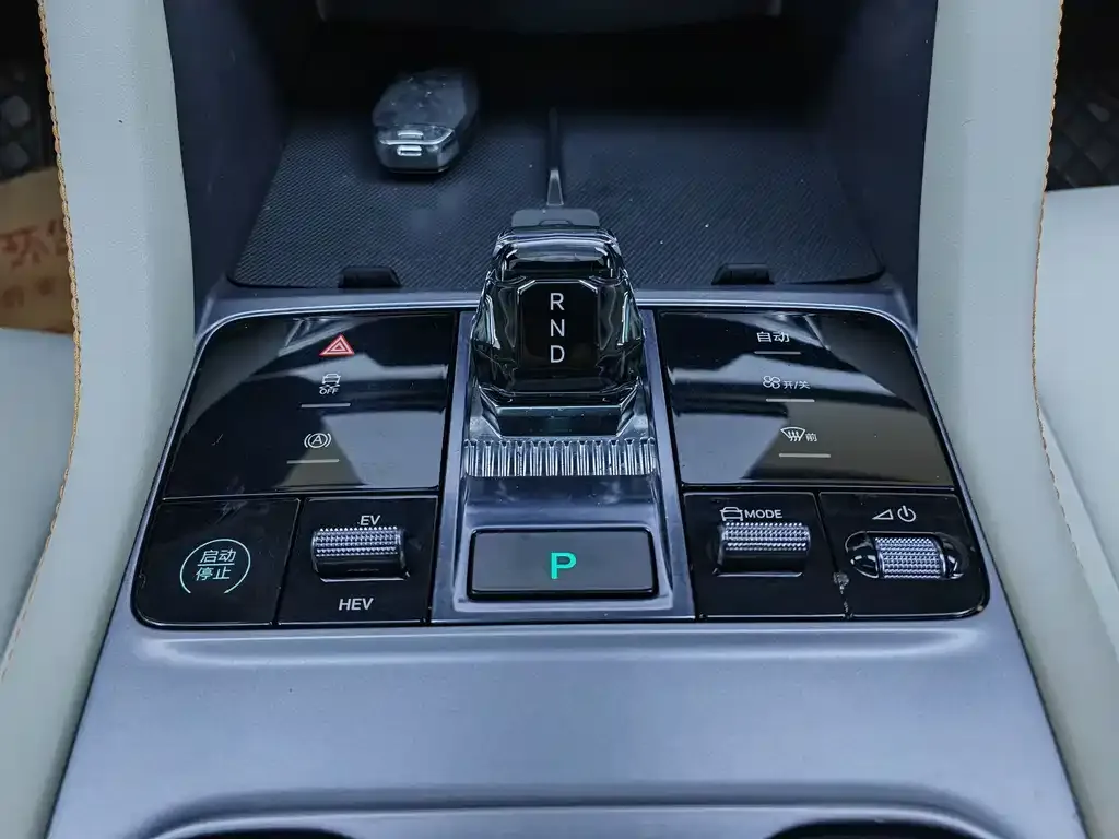 BYD PLUS New Energy 2023 из CN, фото 5