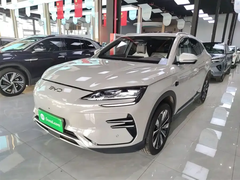 BYD PLUS New Energy — фото 9