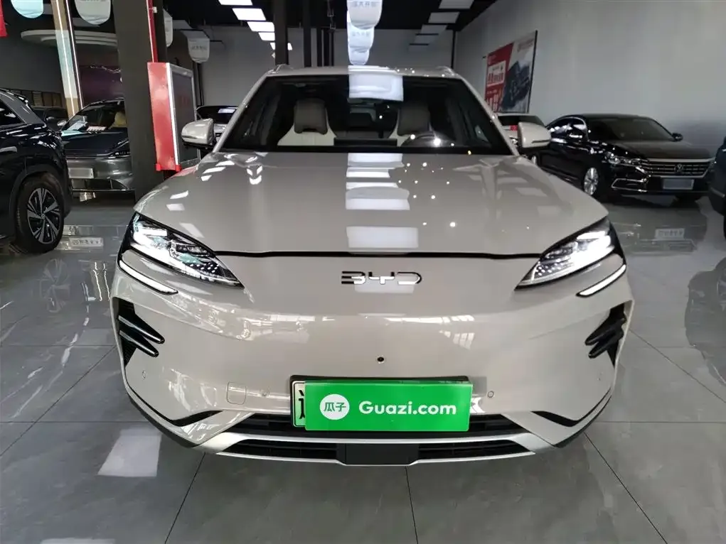 BYD PLUS New Energy — фото 8