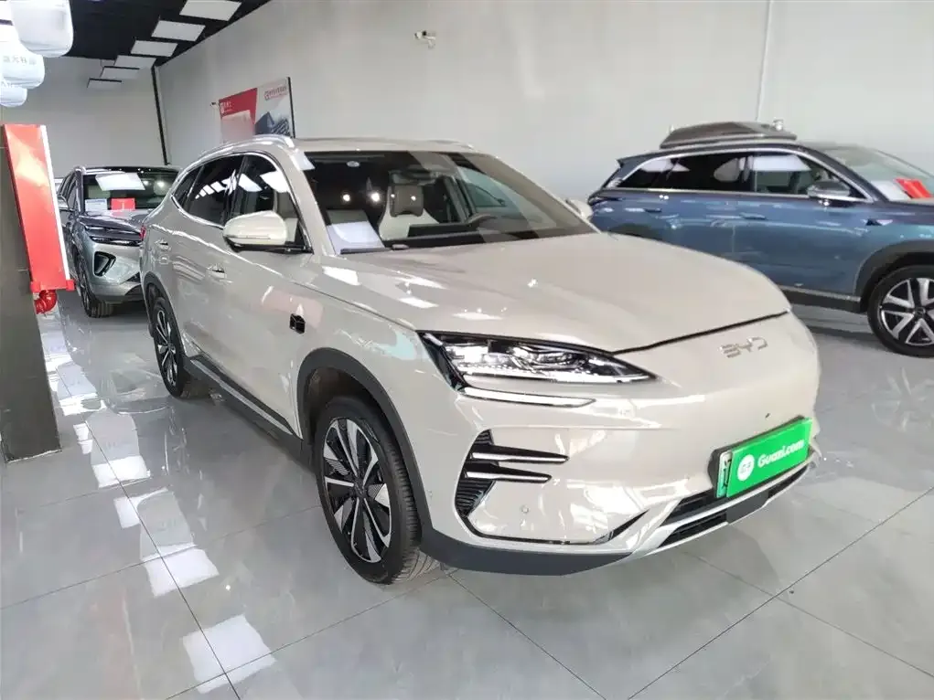 BYD PLUS New Energy — фото 4