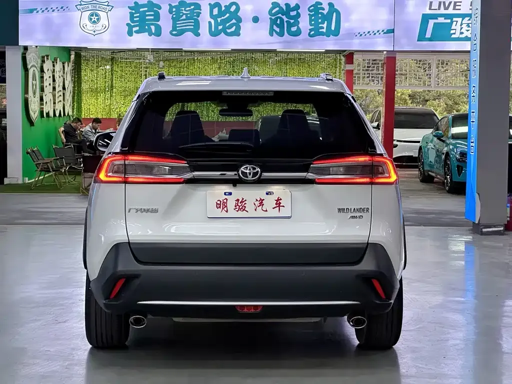 Toyota Wildlander 2023 из CN, фото 9