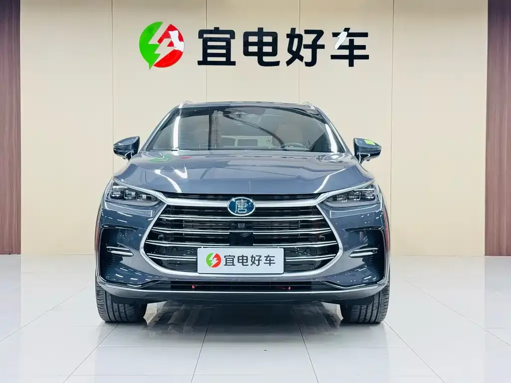 BYD Tang New Energy — фото 2