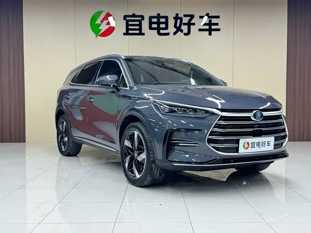 BYD Tang New Energy — фото 3