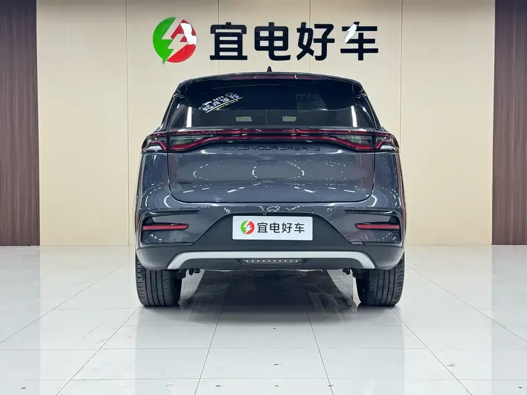 BYD Tang New Energy — фото 5