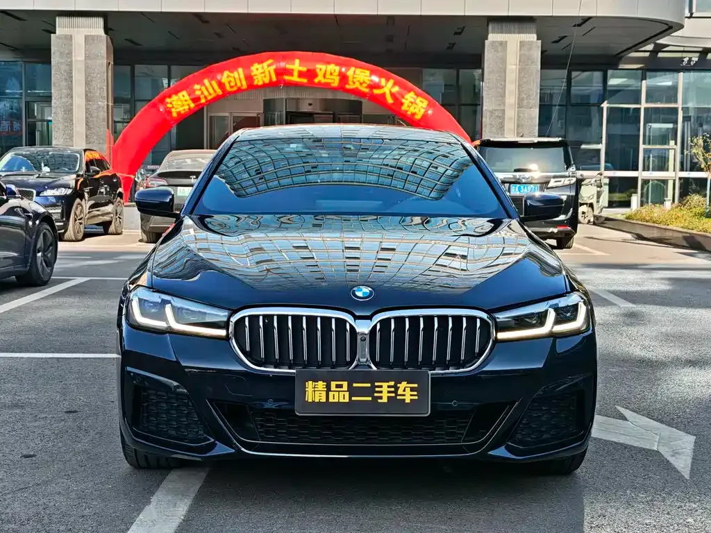 BMW 5 Series 2022 из CN, фото 10