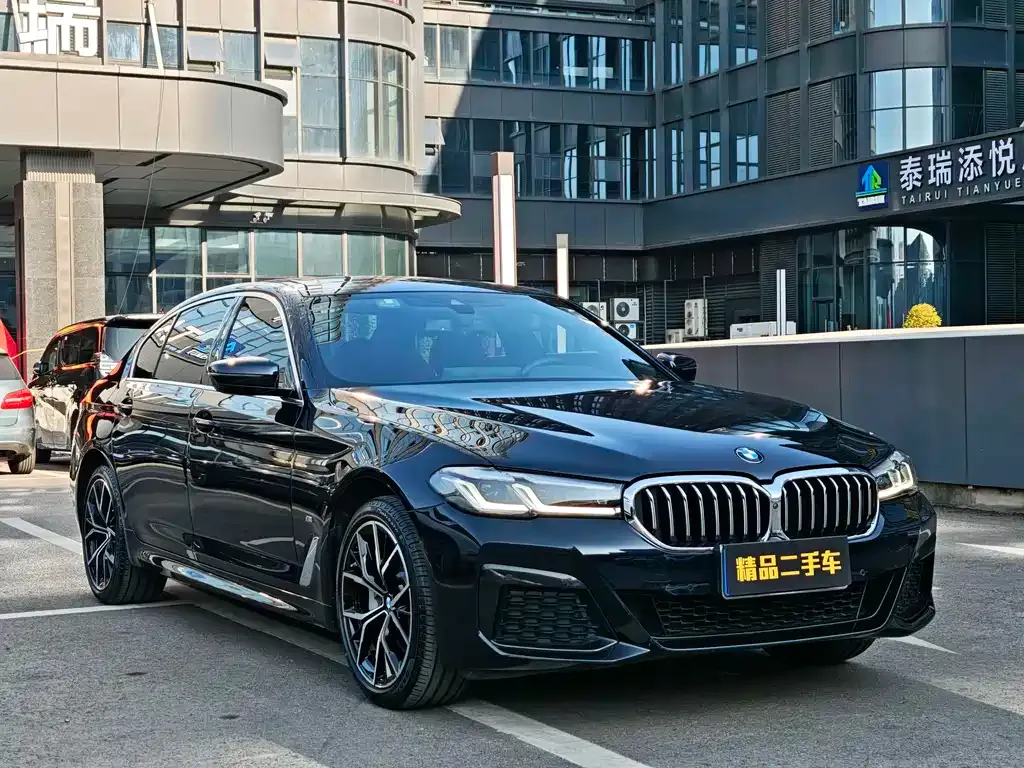 BMW 5 Series 2022 из CN, фото 4