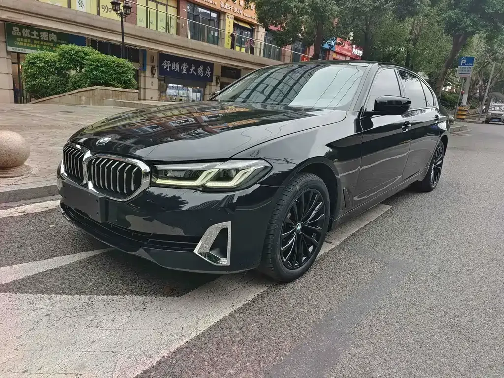 BMW 5 Series 2021 из CN, фото 1