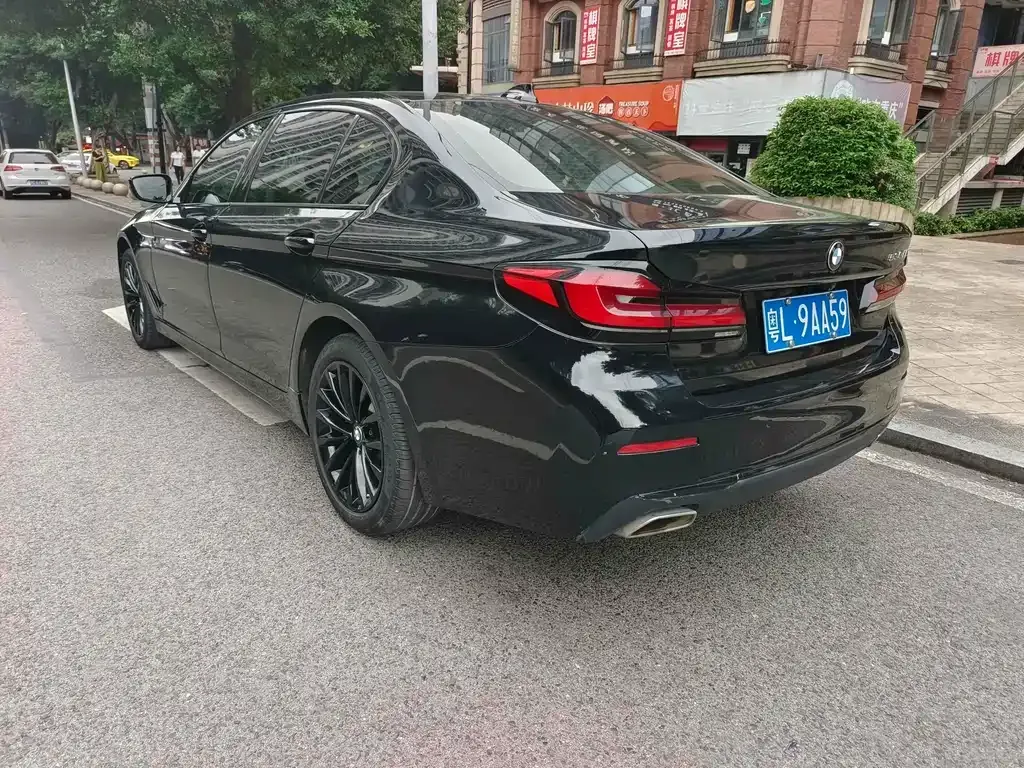 BMW 5 Series 2021 из CN, фото 4