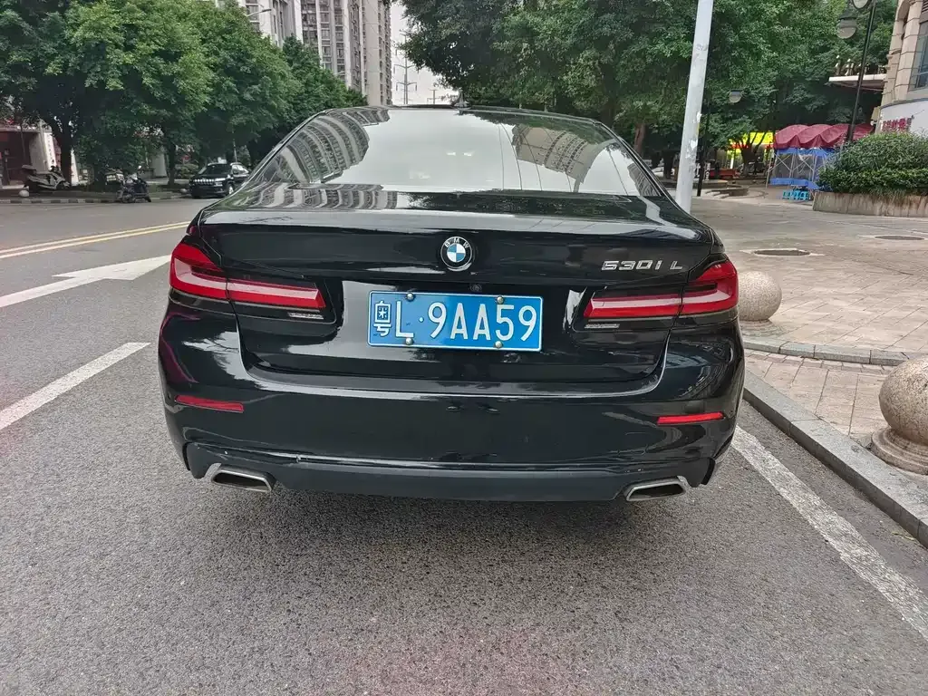 BMW 5 Series 2021 из CN, фото 7