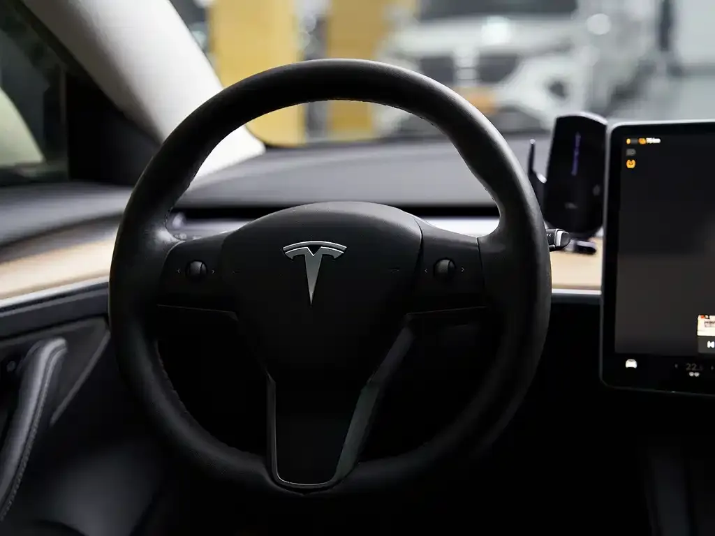 Tesla Model 3 2023 из CN, фото 3