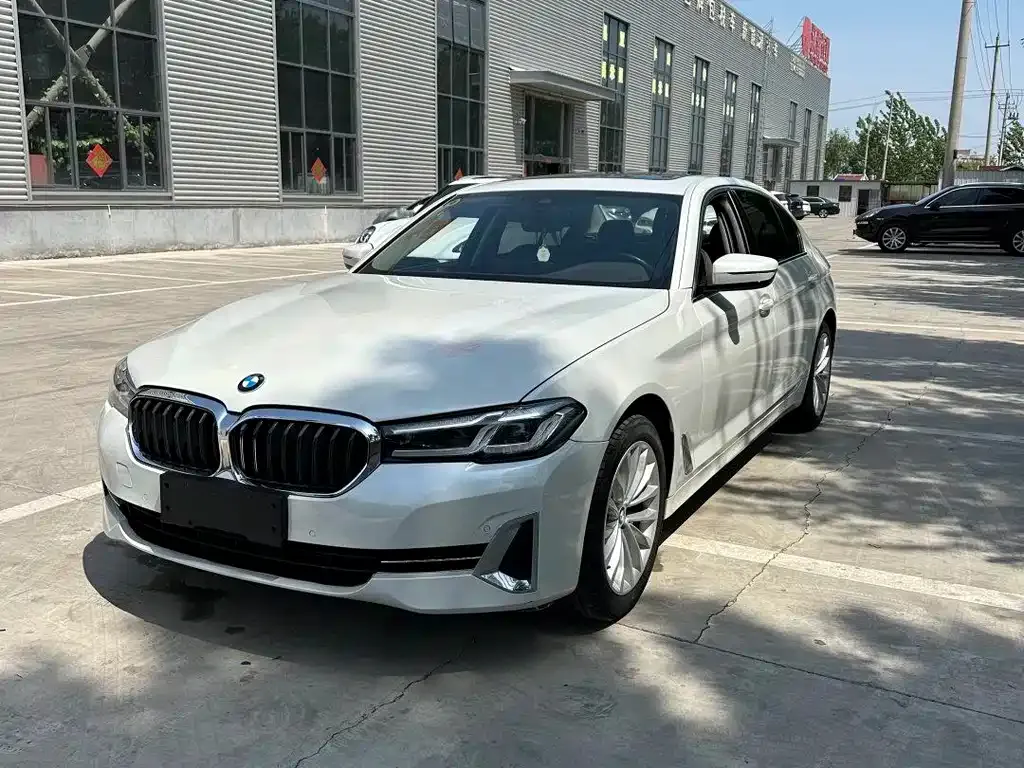 BMW 5 Series 2022 из CN, фото 1