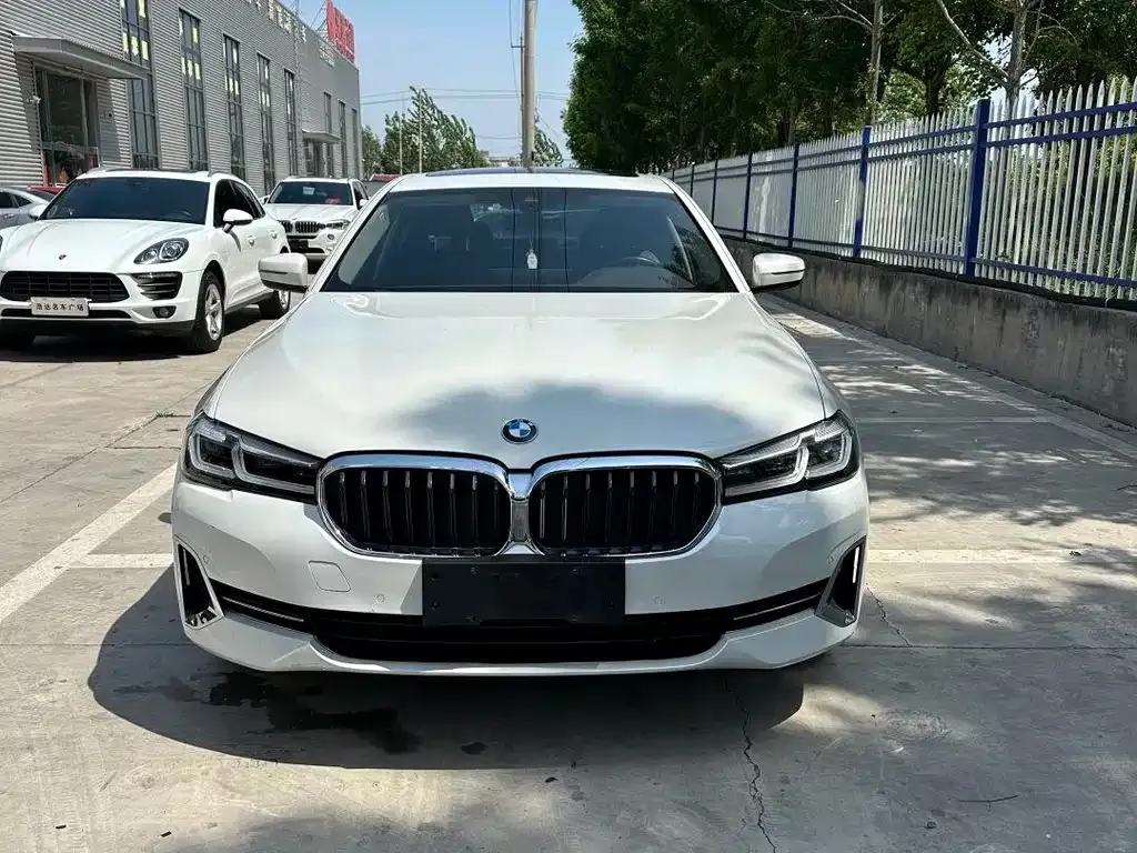 BMW 5 Series 2022 из CN, фото 7
