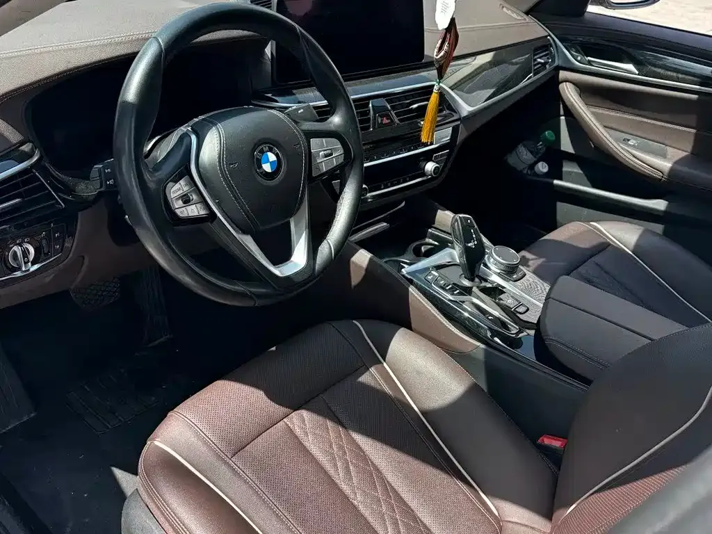 BMW 5 Series 2022 из CN, фото 4
