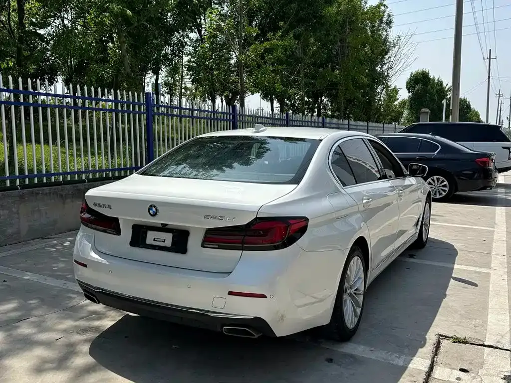 BMW 5 Series 2022 из CN, фото 5