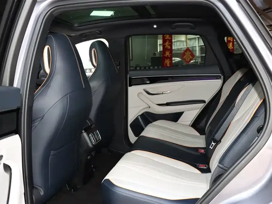 BYD PLUS New Energy — фото 10