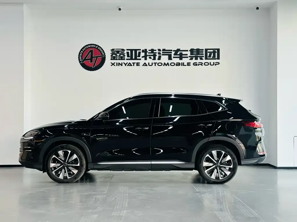 BYD PLUS New Energy — фото 6