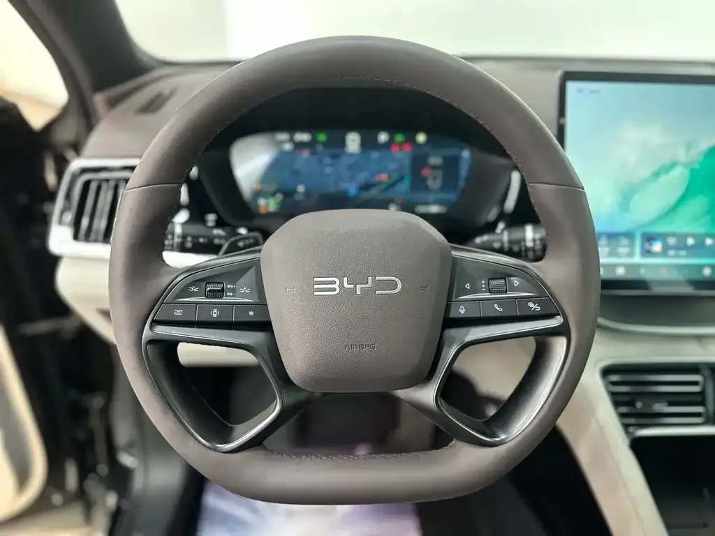 BYD PLUS New Energy — фото 3