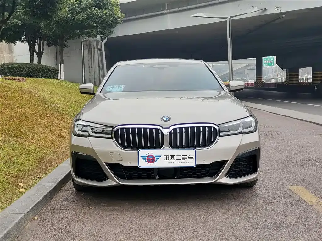 BMW 5 Series New Energy 2021 из CN, фото 8