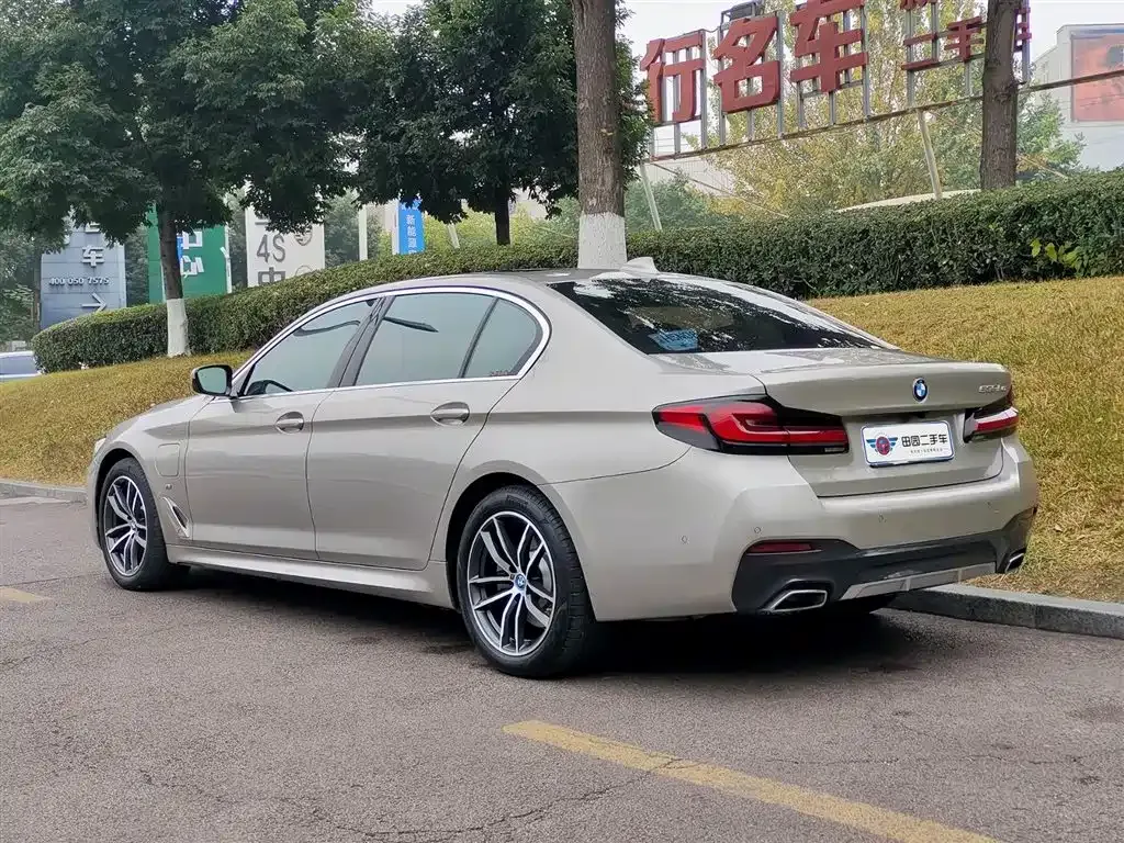 BMW 5 Series New Energy 2021 из CN, фото 4