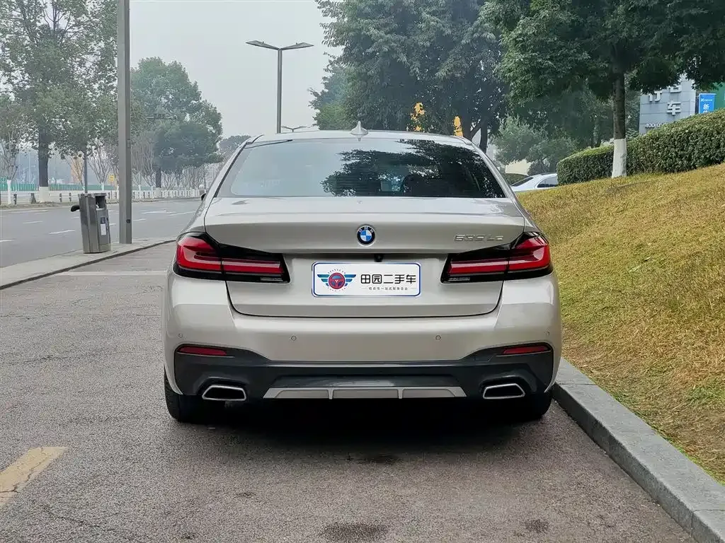 BMW 5 Series New Energy 2021 из CN, фото 9