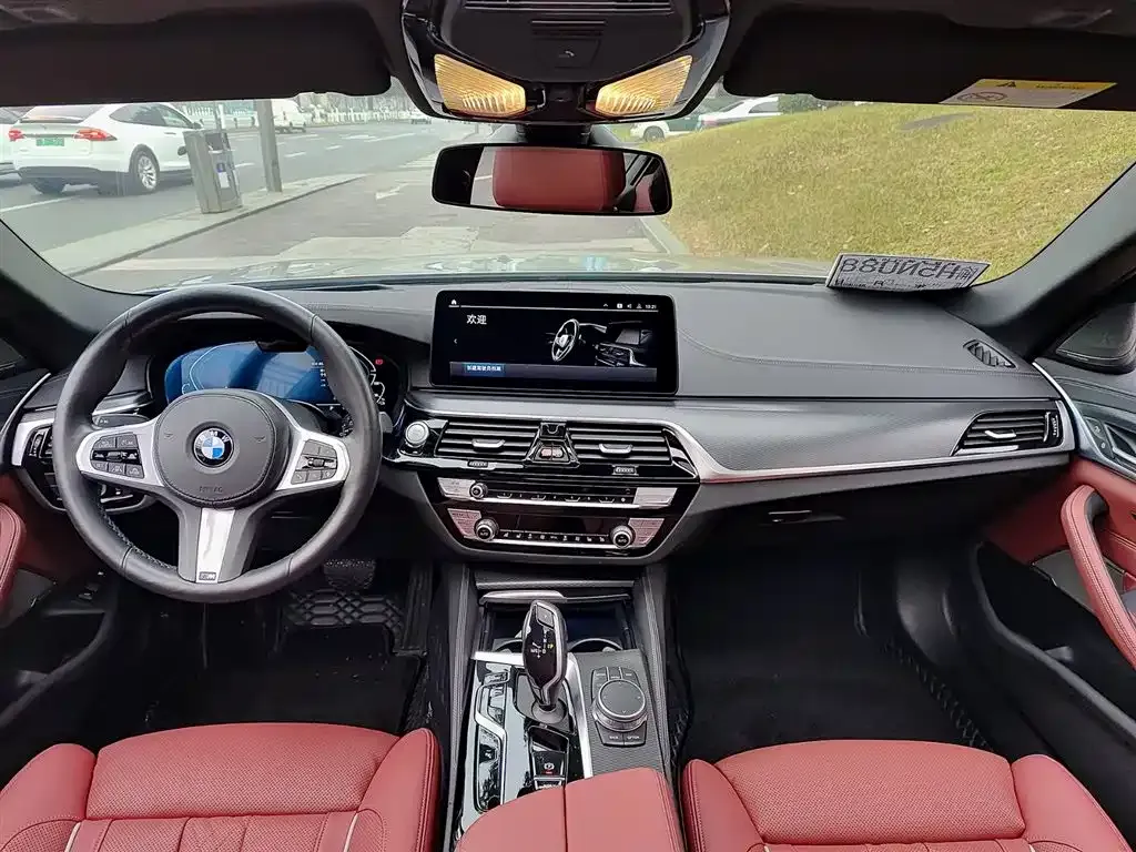 BMW 5 Series New Energy 2021 из CN, фото 2