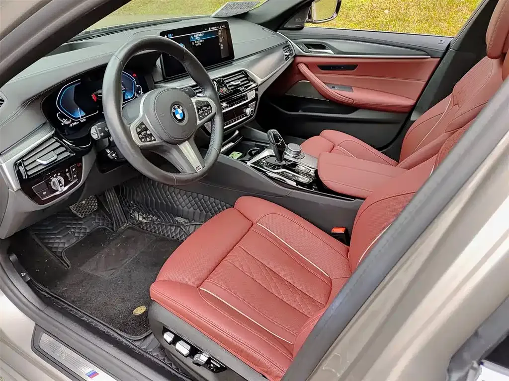 BMW 5 Series New Energy 2021 из CN, фото 7