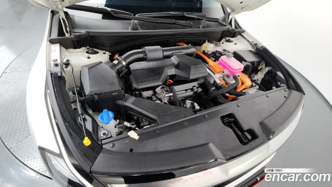 [object Object] Sportage 2024 из KR, фото 6