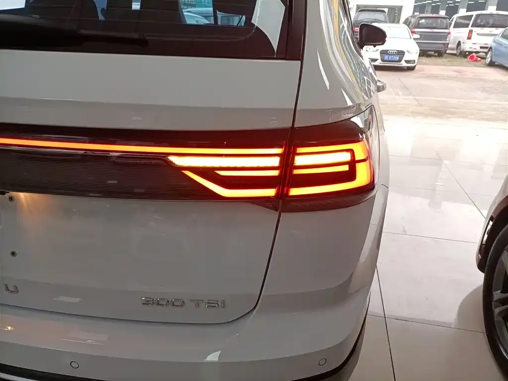 Volkswagen Tharu 2024 из CN, фото 4