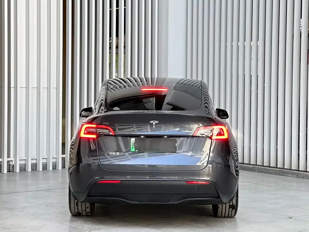 Tesla Model Y 2024 из CN, фото 9