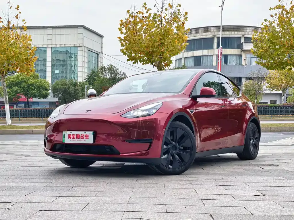 Tesla Model Y 2024 из CN, фото 1