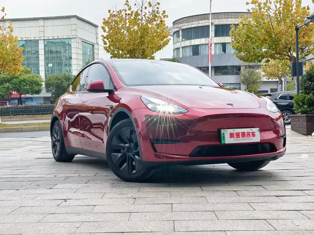 Tesla Model Y 2024 из CN, фото 3
