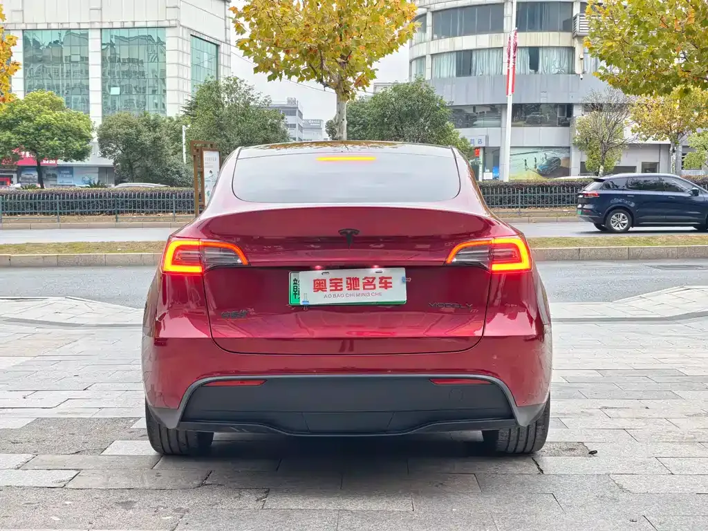 Tesla Model Y 2024 из CN, фото 5