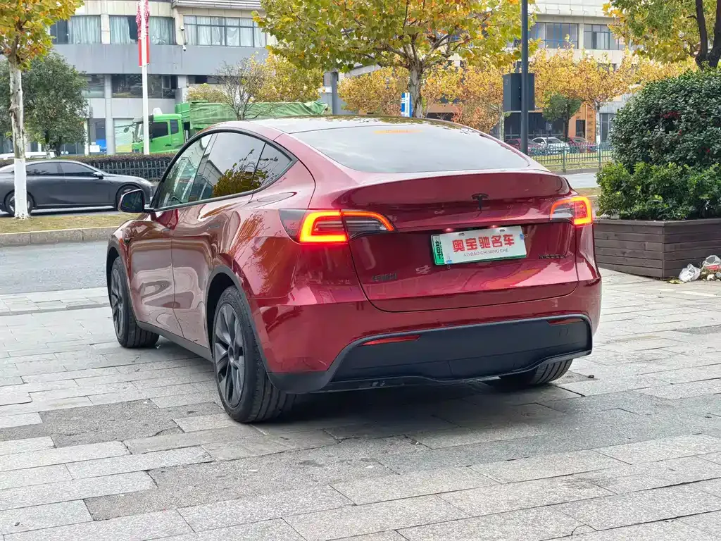 Tesla Model Y 2024 из CN, фото 6