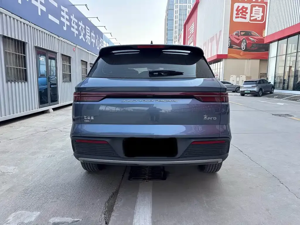 BYD Pro New Energy 2024 из CN, фото 8