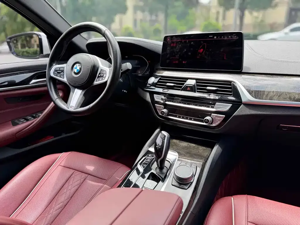 BMW 5 Series 2022 из CN, фото 2