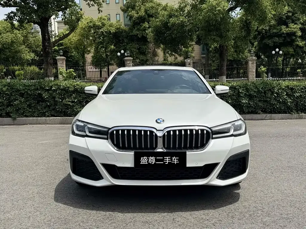 BMW 5 Series 2022 из CN, фото 7