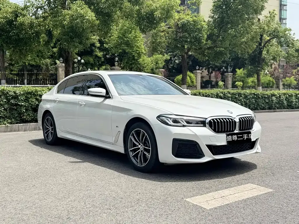 BMW 5 Series 2022 из CN, фото 8